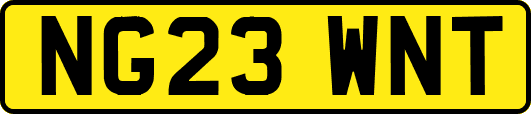 NG23WNT