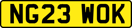 NG23WOK