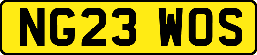 NG23WOS