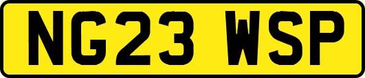 NG23WSP