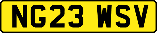 NG23WSV