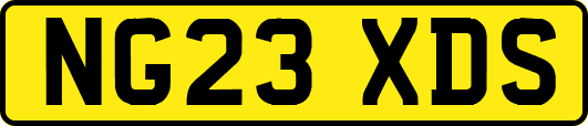 NG23XDS