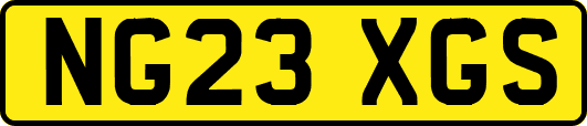 NG23XGS