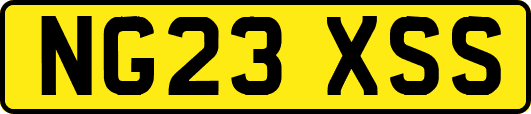 NG23XSS