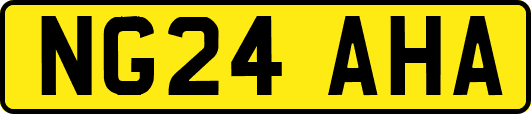 NG24AHA