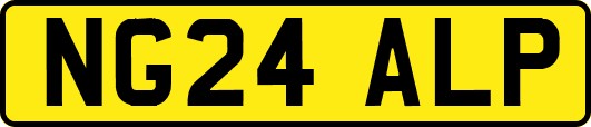 NG24ALP