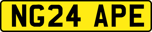 NG24APE