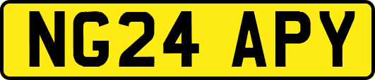 NG24APY