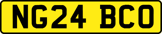NG24BCO