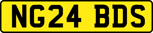 NG24BDS