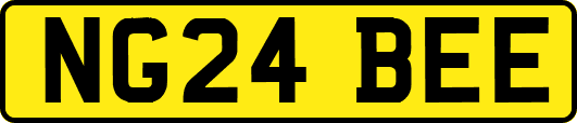 NG24BEE