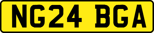 NG24BGA