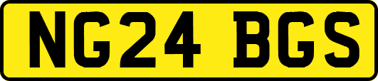 NG24BGS