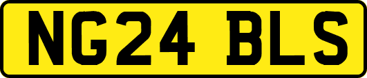 NG24BLS