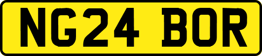 NG24BOR