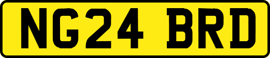 NG24BRD