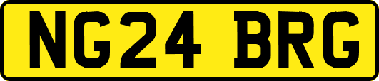 NG24BRG