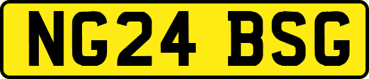 NG24BSG