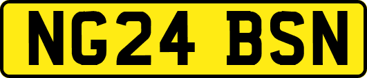NG24BSN