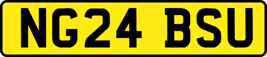 NG24BSU