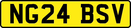 NG24BSV