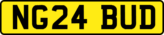 NG24BUD