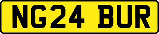 NG24BUR