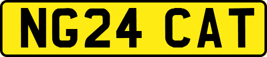 NG24CAT