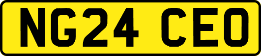 NG24CEO