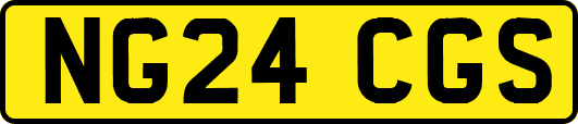 NG24CGS