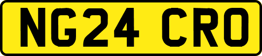 NG24CRO
