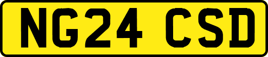 NG24CSD