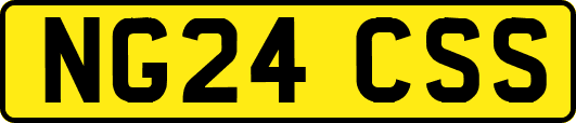 NG24CSS
