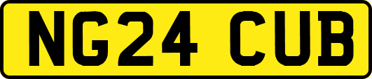 NG24CUB