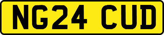 NG24CUD