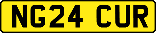 NG24CUR