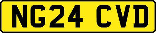 NG24CVD