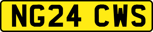 NG24CWS