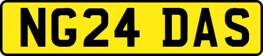 NG24DAS