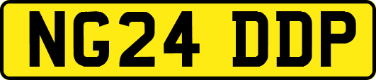 NG24DDP