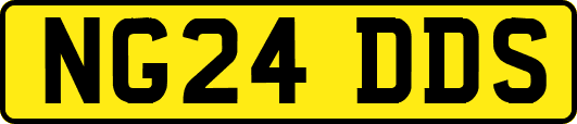 NG24DDS