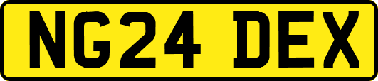 NG24DEX