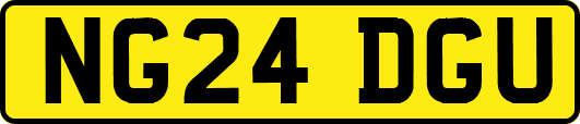 NG24DGU