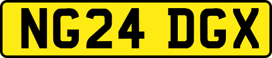 NG24DGX