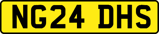 NG24DHS