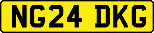 NG24DKG