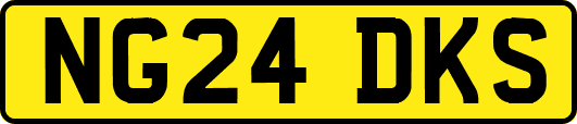 NG24DKS