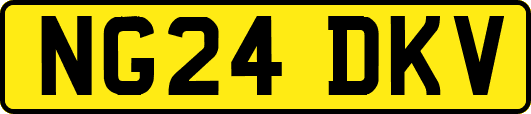 NG24DKV