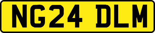 NG24DLM