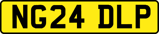 NG24DLP